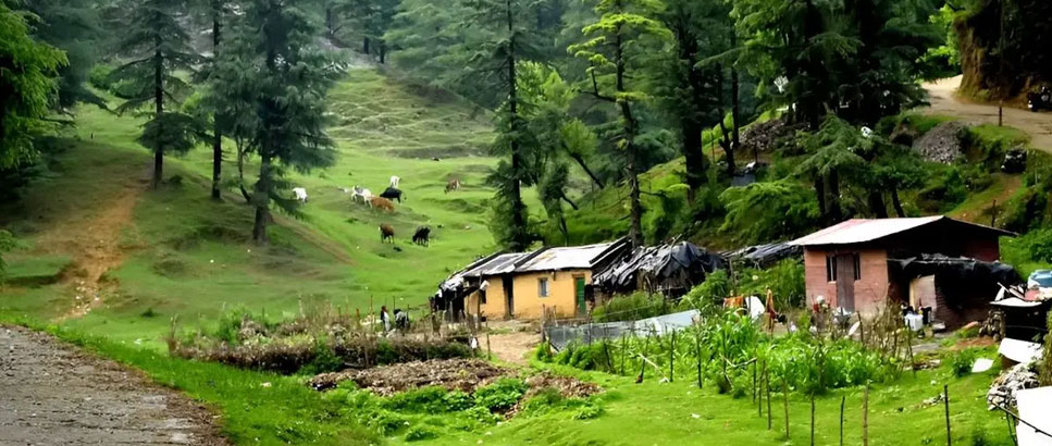 dehradun to badrinath