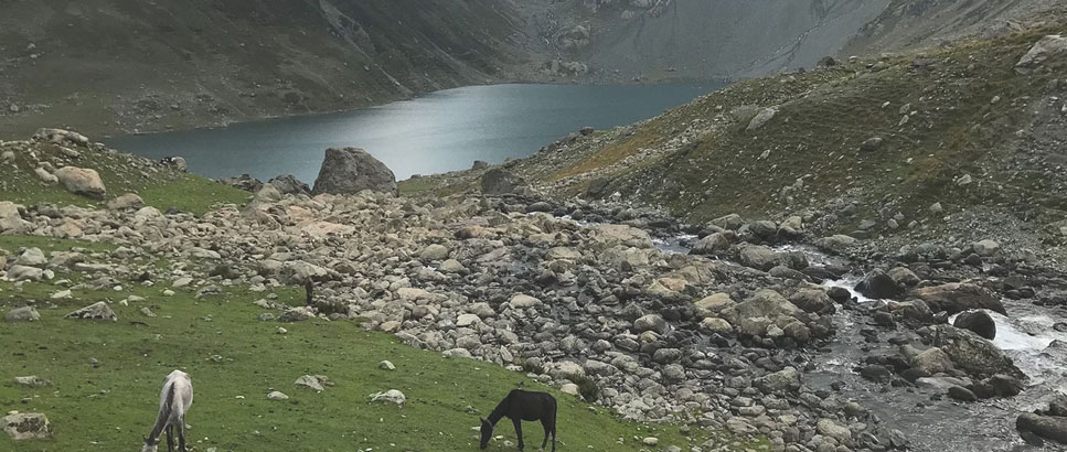 kedarnath yatra